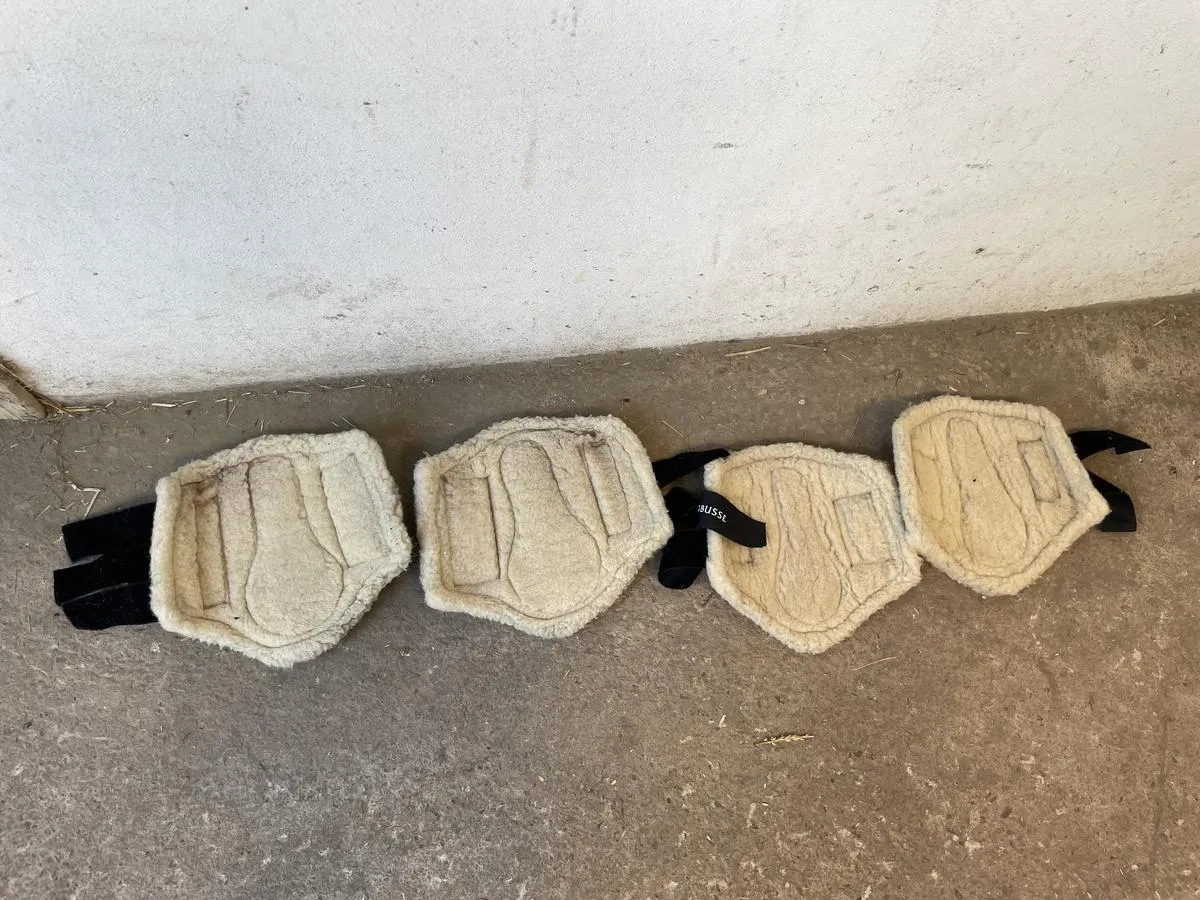 Busse guêtres moutons